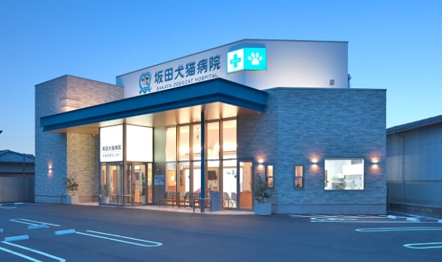 坂田犬猫病院