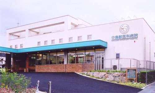 中島獣医科病院